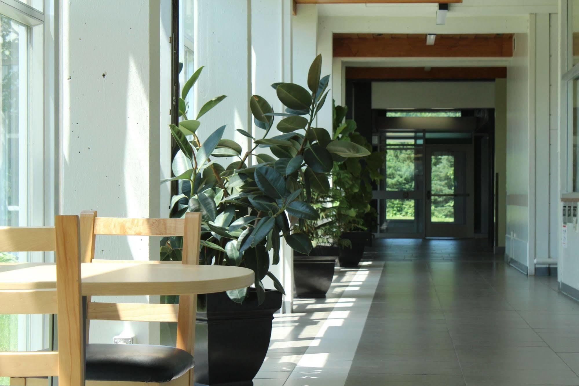 קוויבק סיטי Residences Universite Laval מראה חיצוני תמונה